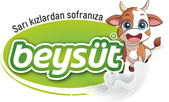 Beysüt Jersey